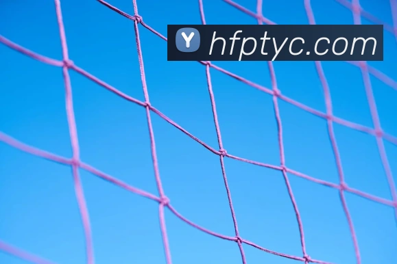 太阳城网站APP 封面图